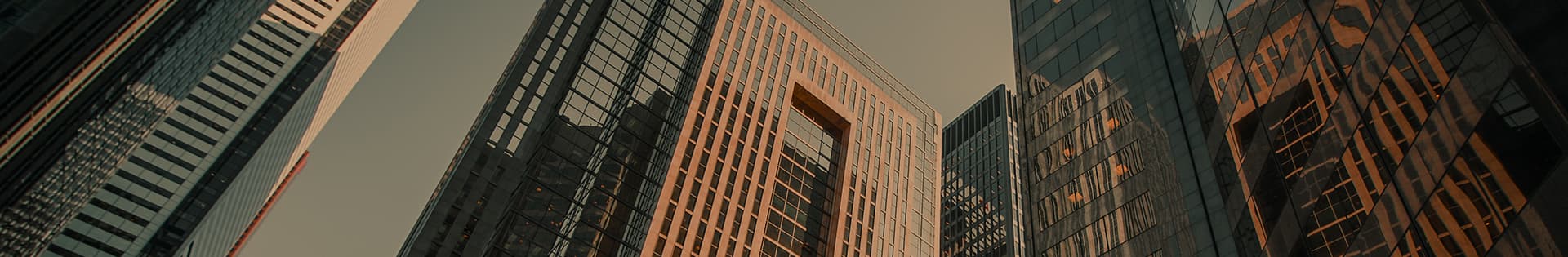 Fonds - Optimum Actions Canada Fonds - Optimum Actions Canada